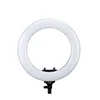 R-48B Lite Battery Supply 18 Inch Studio Ring Light Kit Phone and Camera Led Diva Ring Light