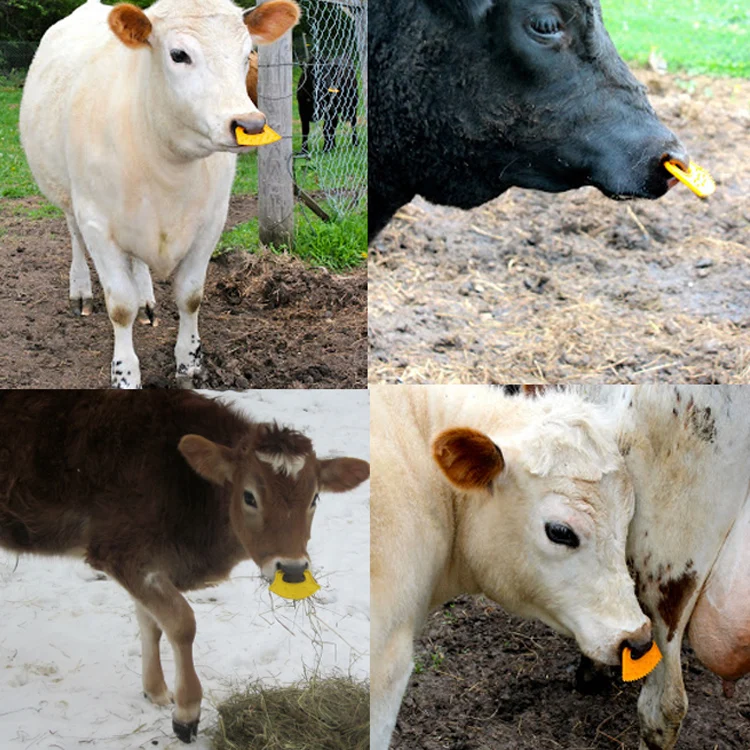 1pc Weaner Anti Sucking Calf Milking Stops Sucking Cow Nose Thorn Clip 