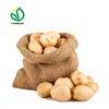 2019'Crop China Sweet Potato for India / Indonesia / Bangladesh Market ( Size 80-150g , 20kg/Mesh Bag )