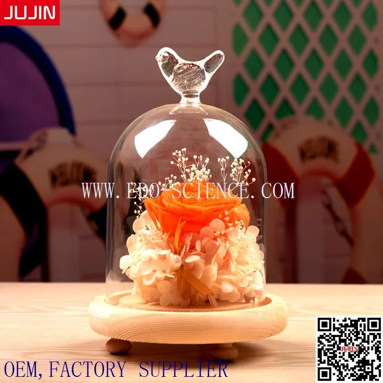 Glass Cover Decotration Glass Vase (29)