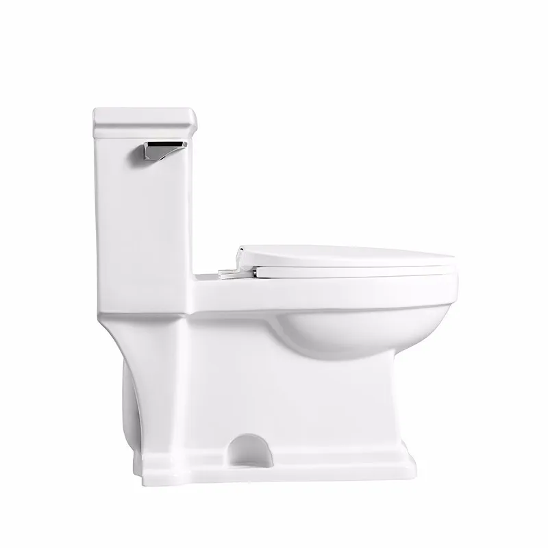 Washdown Floor Mounted Siphonic Flushing One Piece Composting Toilet ...