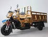 Wide Pedal and Passenger Seats 2 Meter Cargo Box Gas Motor Cargo Tricycle with Double Keel for Sale