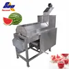 Screw watermelon juice extracting machine /mango juice extractor /fruit juice making machine