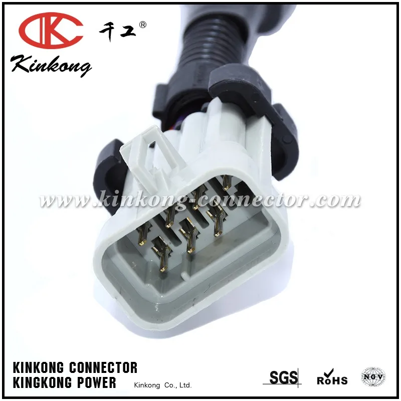 Automotive Wiring Harness With Delphi Connectors - Buy Auto Wiring