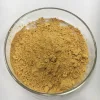 Factory Supply Pure Natural Noni Fruit Extract Powder