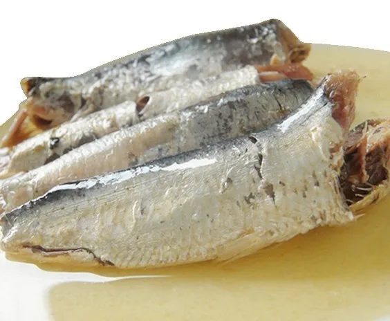 sardine