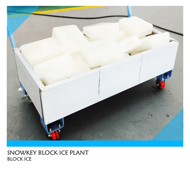 Snowkey 2.5t Cheap Ice Block Making Machine For South Africa Buy