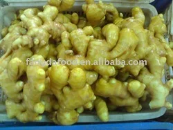 237absupplier-of-fresh-fat-ginger-yellow-color.jpg_250x250