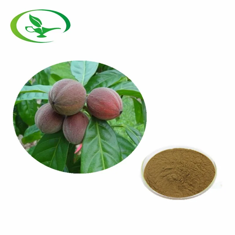 Hot Sale High Quality Blushwood Berry Fruit Extract Powder Buy
