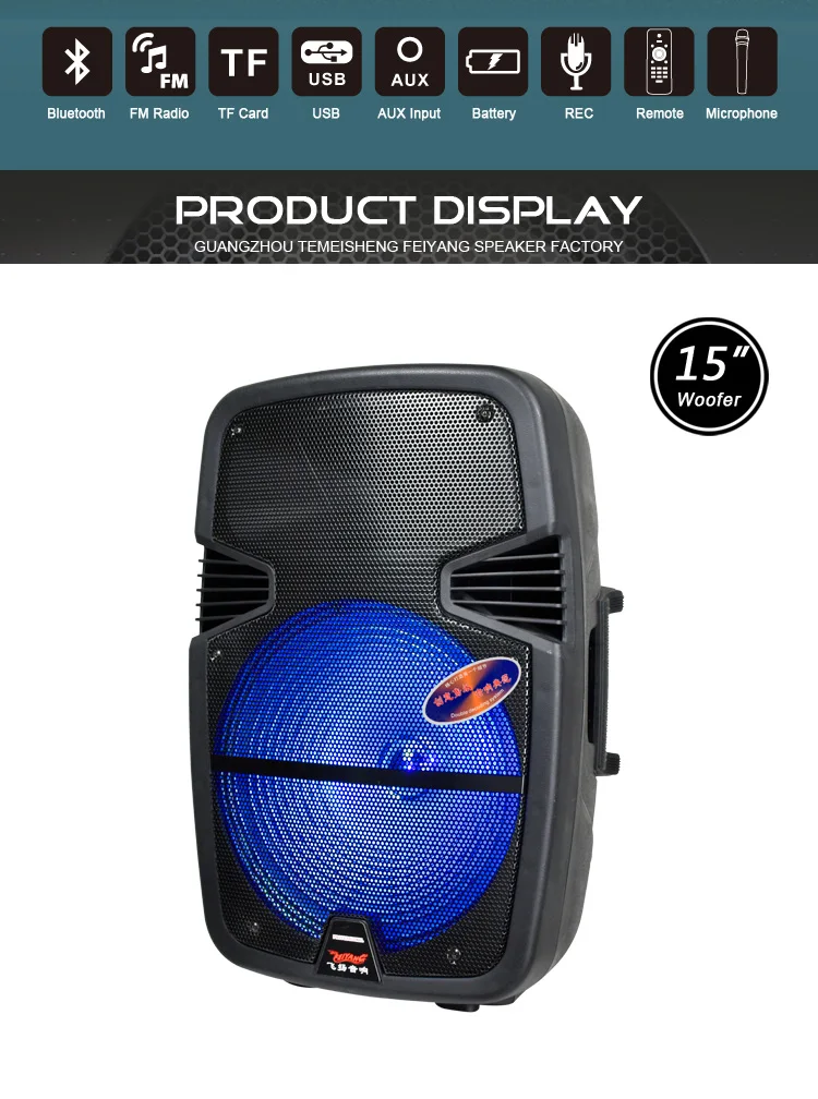 Feiyang 15 Inch Karaoke Speaker Empty Plastic Speaker With