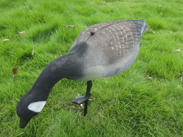 Supply Canada Goose Decoys,Hunting Decoys Goose,Xpe Foam Goose Hunting Decoys Buy Canada Goose Decoys,Goose Decoys,Hunting Goose Decoys Product on Supply Canada Goose Decoys,Hunting Decoys Goose,Xpe Foam Goose Hunting Decoys Buy Canada Goose Decoys,Goose Decoys,Hunting Goose Decoys Product on