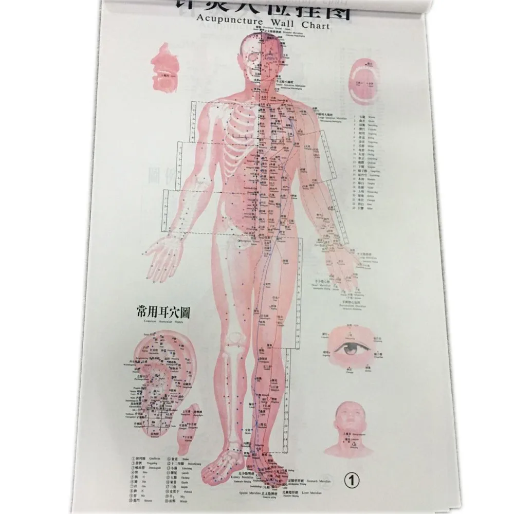 Acupuncture Charts ( 3 Posters/set In English ) - Buy Acupuncture