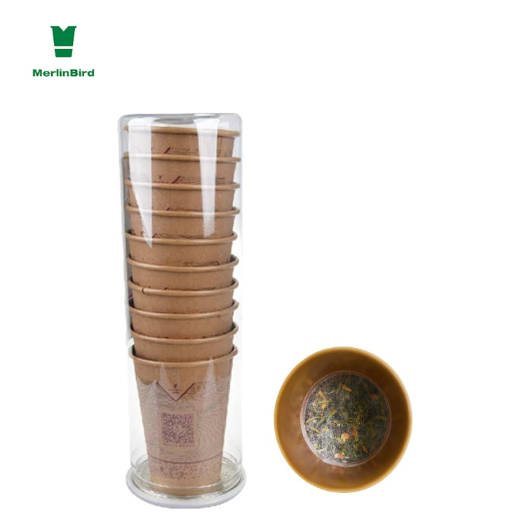 Merlin Bird Cup bottom tea organic oolong tea with filter paper - 4uTea | 4uTea.com