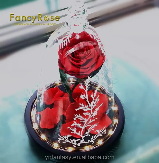 聖バレンタインデーのためのガラスドームの美女と野獣不滅のバラの単一の花 Buy 美女と野獣ガラス 不滅ローズ 単一のバラの花でガラスドーム Product On Alibaba Com