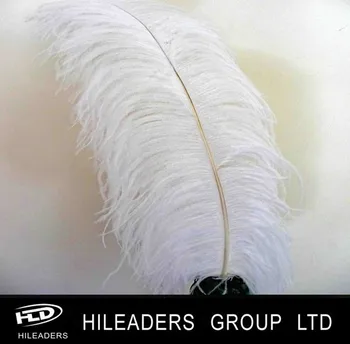 Qw229 Wholesale White Ostrich Feathers For Wedding Decor Buy