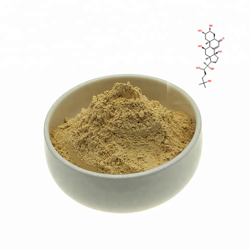 Дрожжи порошок. Powder extract. Powder extract. Дрожжевой экстракт. Powder extract.