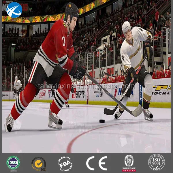 ice rink boards_6.jpg