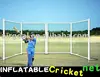 cricket bat (R-01 INFLATABLE PORTABLE CRICKET PRACTICE NET )