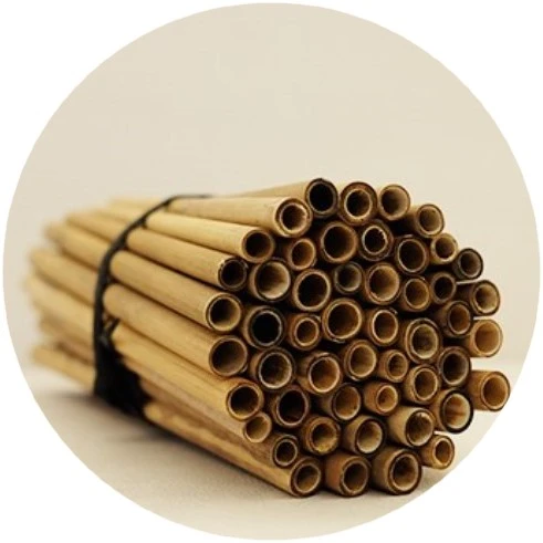 10 件装可重复使用的芦苇秸秆 20厘米天然环保芦苇饮用吸管 c