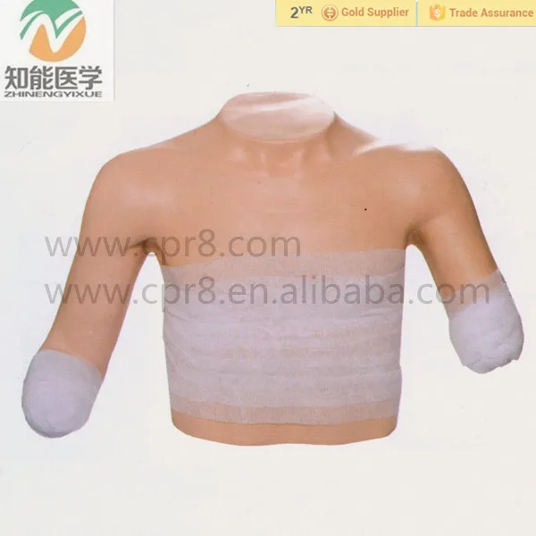 Medical Training Bandage Model For Chest And Arm (upper Limb) Buy