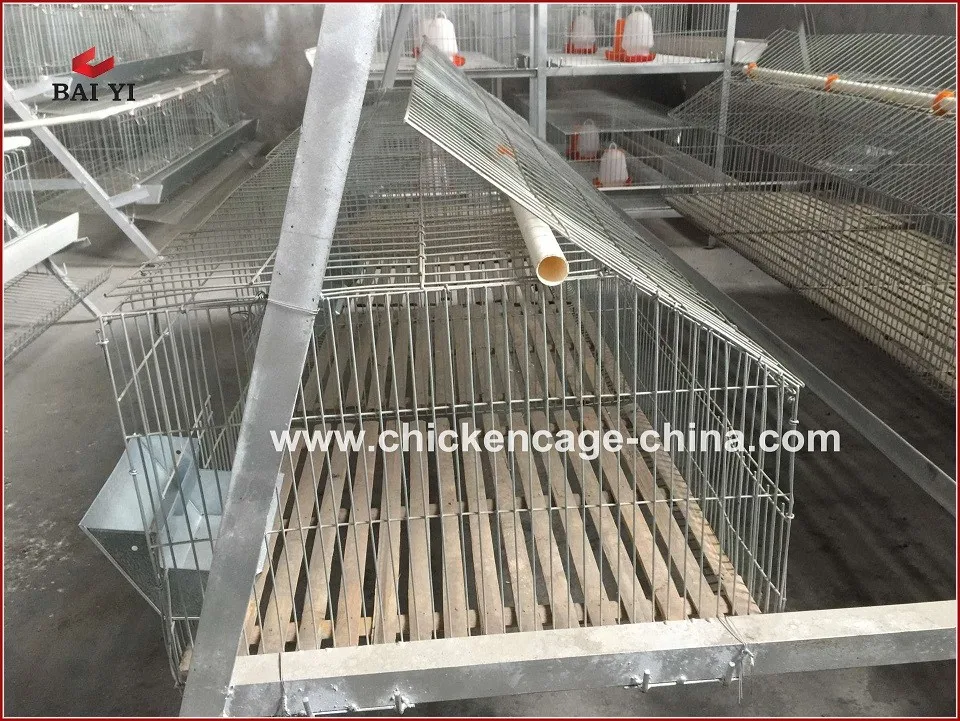 Buy Industrial Rabbit Cages at Kristin Velasquez blog