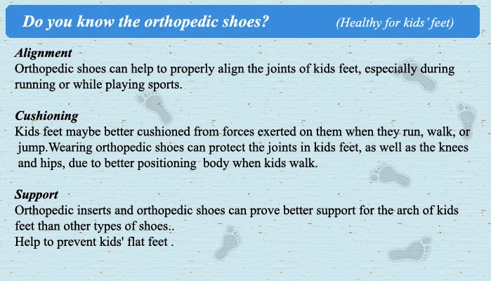 ortho descprition.jpg