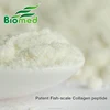 Collagen Tripeptide powder