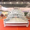 Hot sale and high quality breeds of broiler chickens