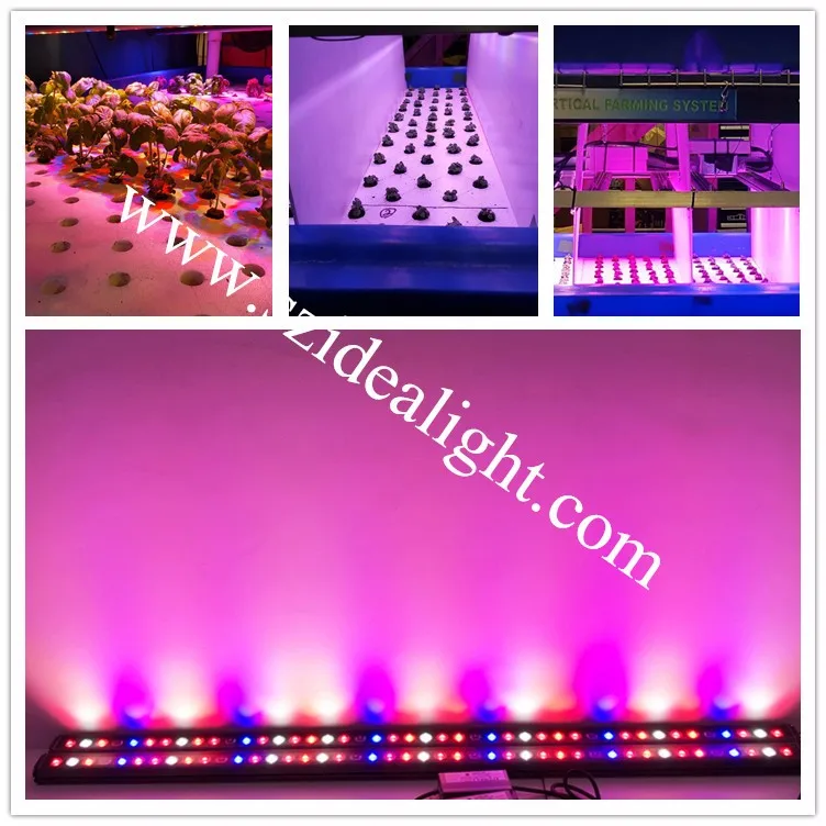 Hot seller Grow lettuce and microgreens LED Grow Lights CP300 60W power strip and Aquarium Lighting LED Grow Light Strip