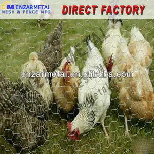 Chicken Netting For Roofing