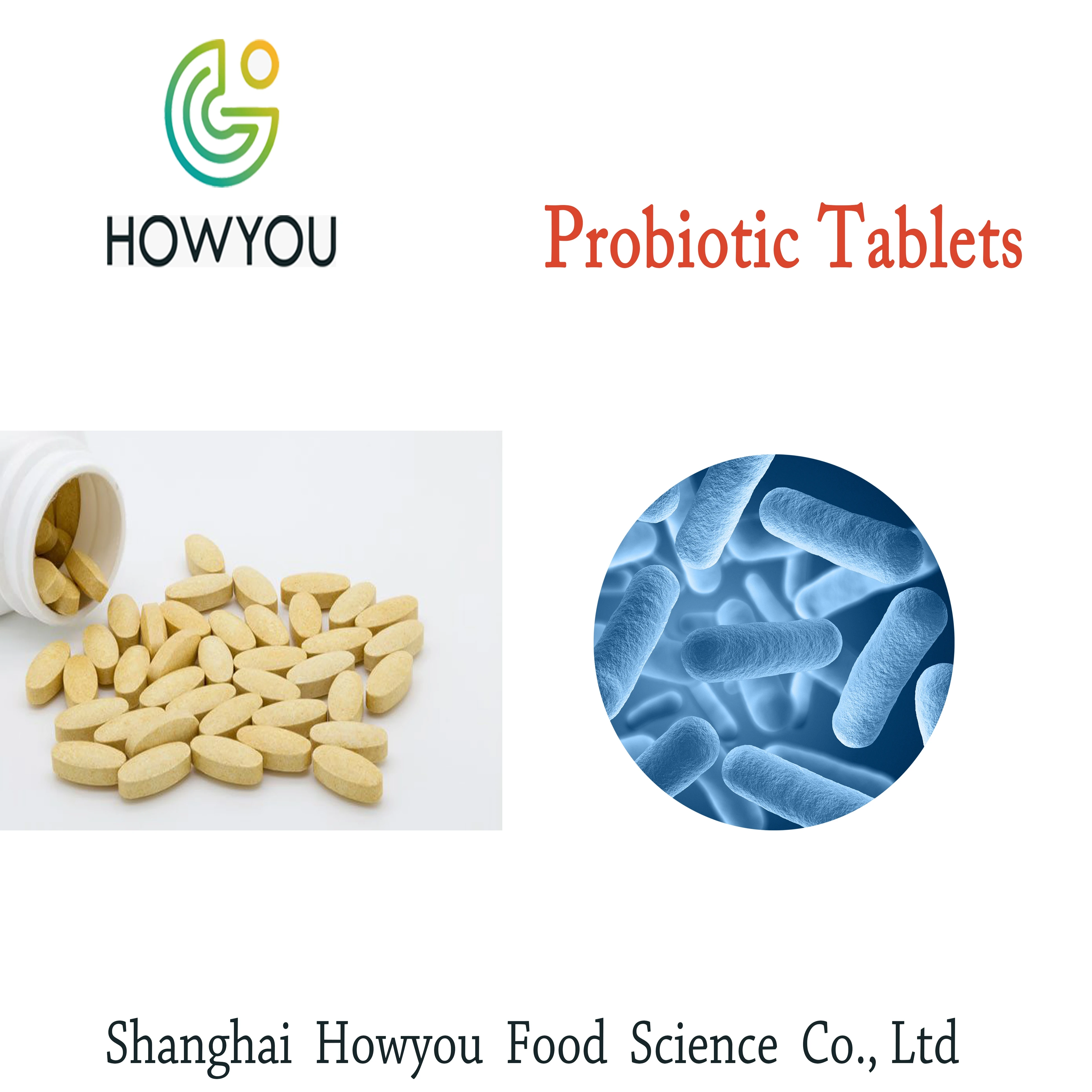 Lactobacillus Rhamnosus Daily Probiotic Bifidobacterium Lactobacillus