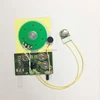 Mini recordable sound chip shining/mini recordable module for card