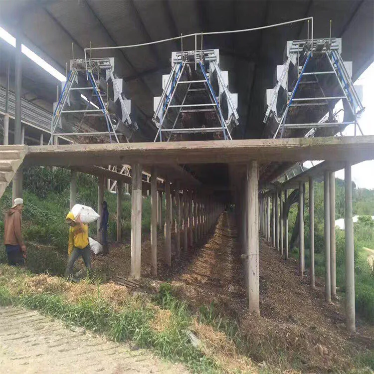 Bangladesh Poultry Farms For Sale Hen In A Nest Commercial Chicken