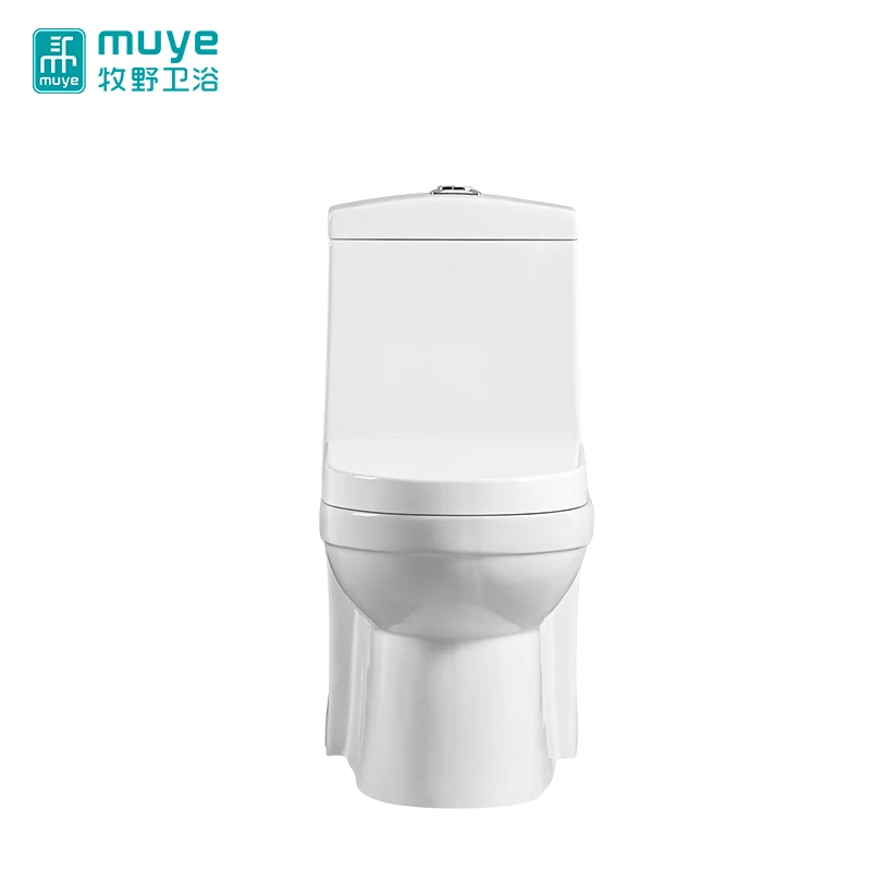 Chaozhou Made Bathroom Dual Flush Sanitary Ware One Piece Siphonic Porcelain Toilet Bowl Buy 6570