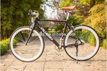 fixed gear electric bike