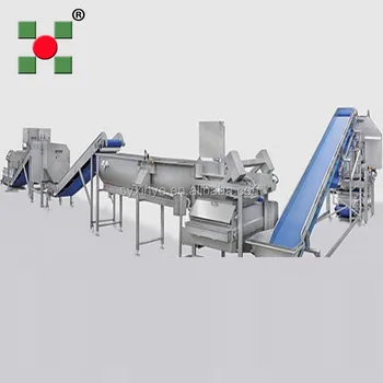 frozen food processing machinery