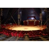 Aluminum Truss circus ring/large aluminum ring for circus artists perform