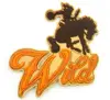 Wholesale cheap custom felt embroidered patches no minimum,custom embroidery patch