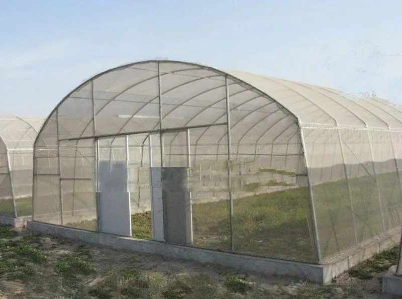 greenhouse12.jpg
