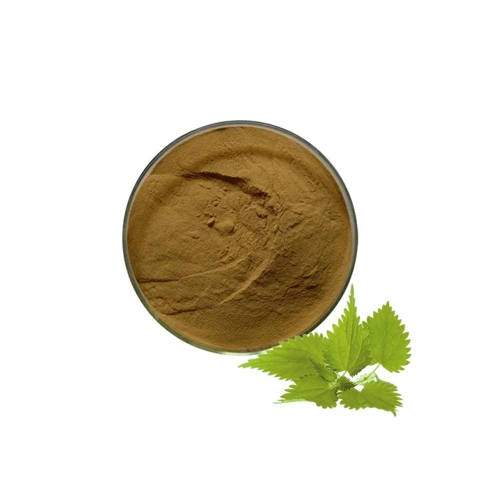 prostatitis seca de raíz de ortiga