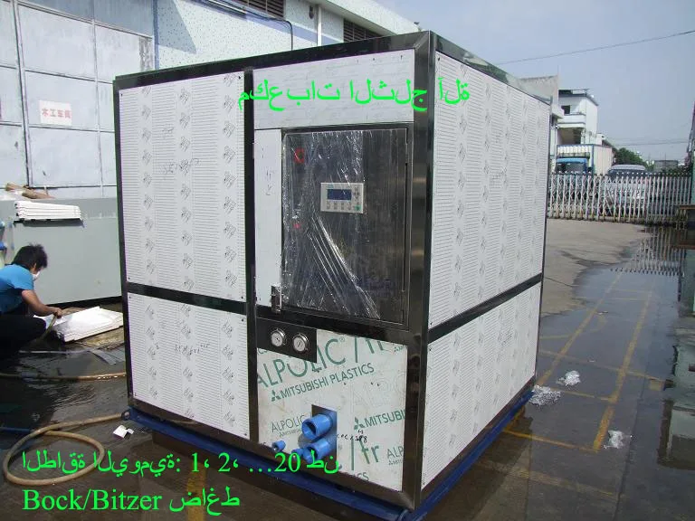 CBFI Big cube ice maker machine 3 ton 5 ton 10 ton per day for Singapore