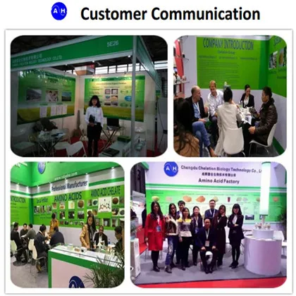 Yellow Powdered Aminoacids Fertiliser Chelated Ca/Calcium For Mango