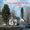 Wireless Cellular stealth pine tree china manufacturers