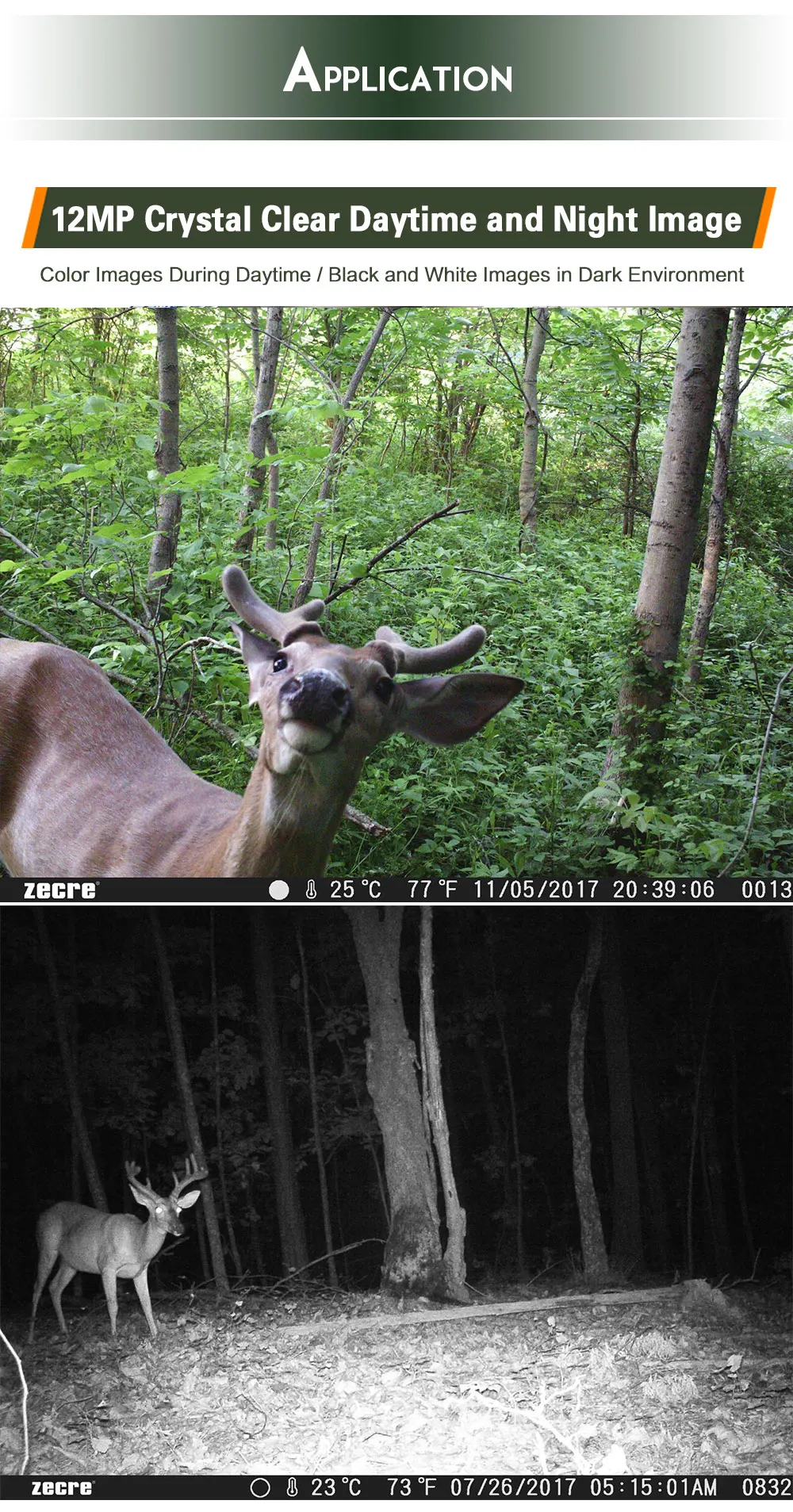 Game Hunting Cam _06.jpg