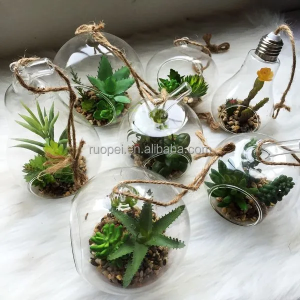 Piante Grasse In Vetro.Bella Artificiale Piante Grasse Mini Con Vaso Di Vetro Buy Artificiale Piante Grasse Piante Grasse Mini Bonsai Pentole Mini Bonsai Product On Alibaba Com