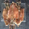 Dried squid, cleaned dry Illex Squid skinless for importers