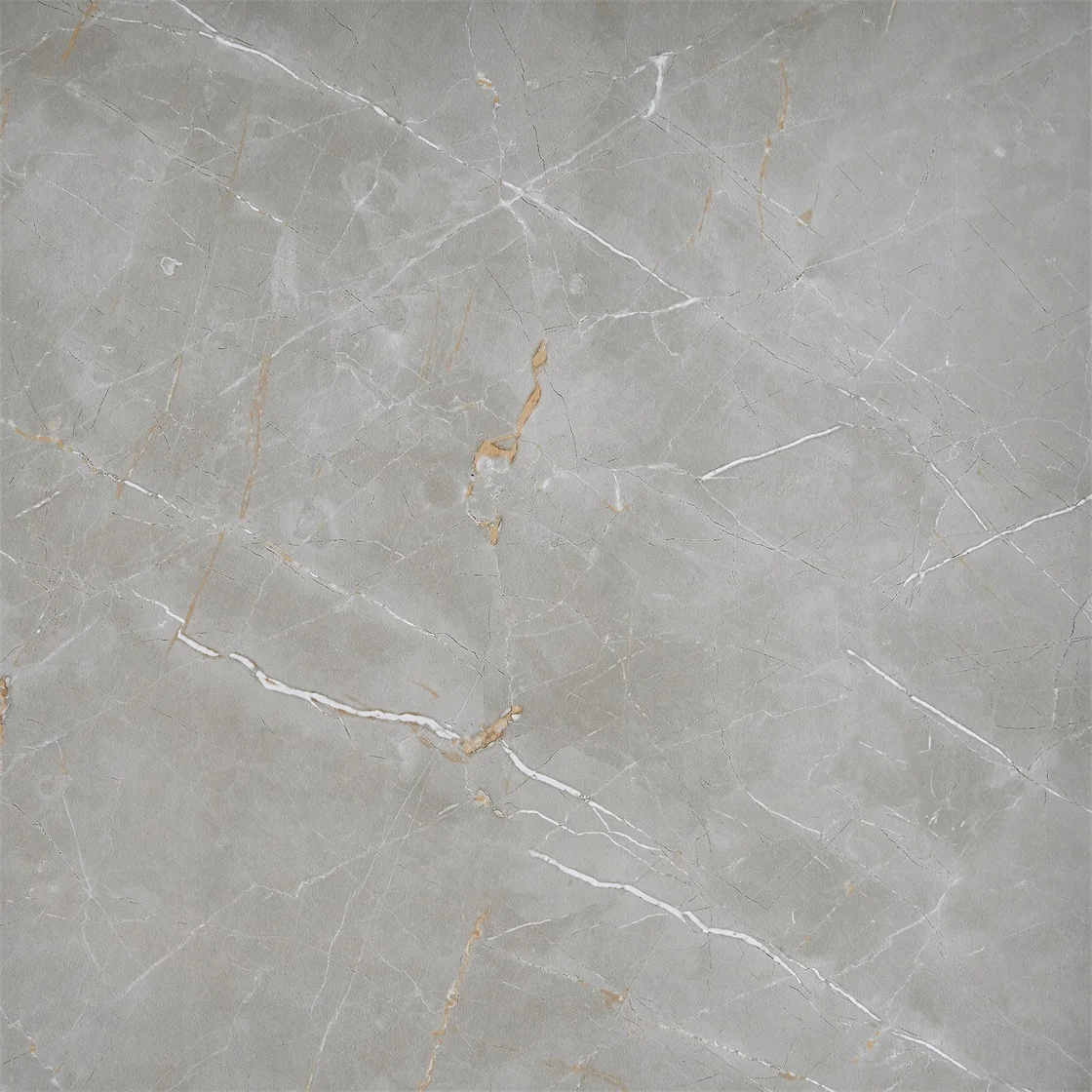 60 60 Ceramic Floor Tile Porcellanato Floor Ceramic Tile