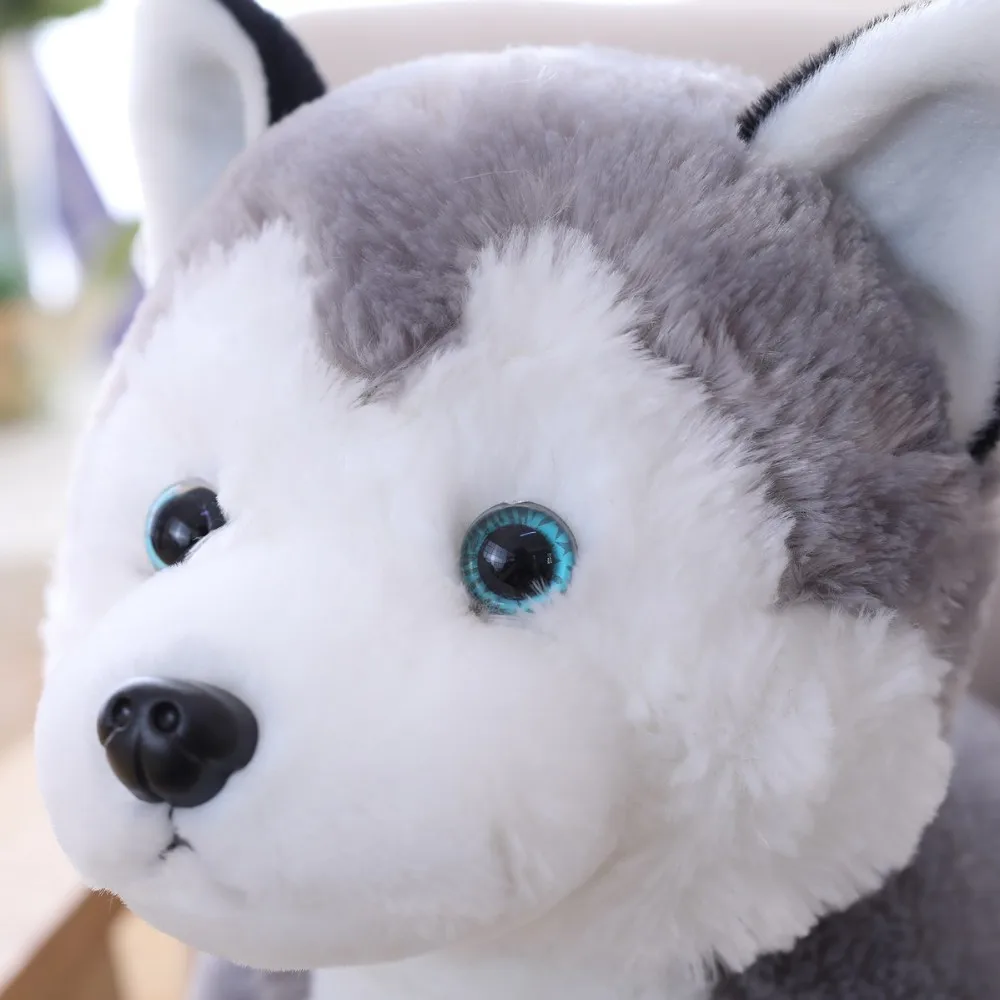 cute plush dogs