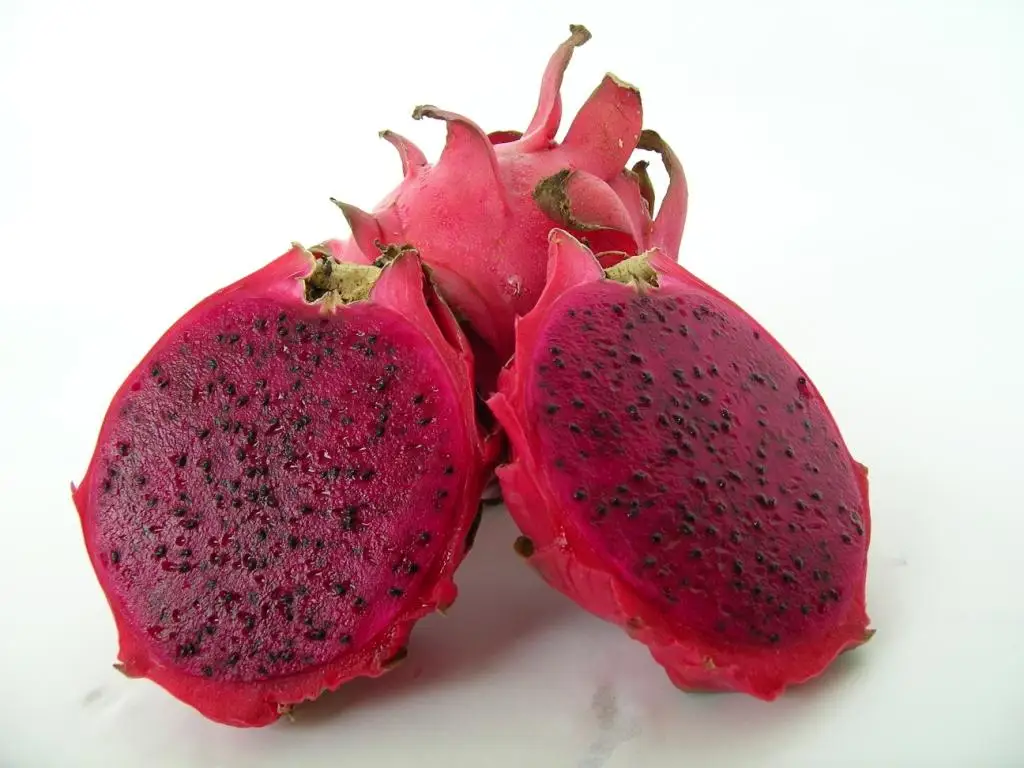  فاكهة التنين Dragon-Fruit-Red-Flesh-