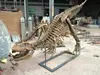 Dinosaur fossil for sale